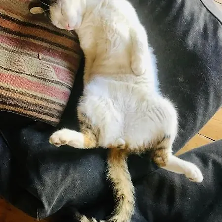 Rageleje's Oasis - Coastal With Wood Burning Sauna 度假居 Græsted