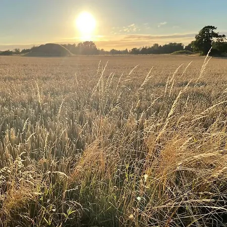Rageleje's Oasis - Coastal With Wood Burning Sauna 度假居 *